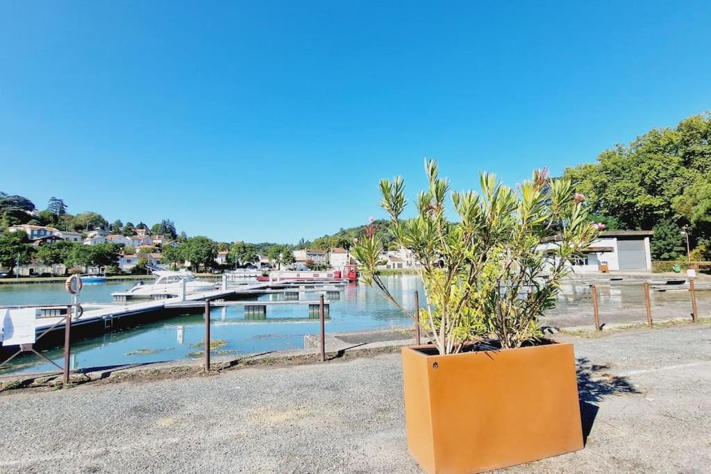 Maison, 4 A 6 Pers, Clim, Parking Prive, 2 Chambres Agen Esterno foto